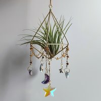 Magical Air Plant Holder