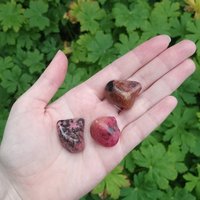 Rhodonite