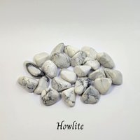 Pets & Animal Healing Crystal Set with Guide