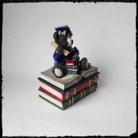 Wizard Teddy Bear Trinket Box