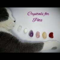 Crystal set for pets and animals with clear quartz, howlite, amethyst, rose quartz, citrine and, jasper and information card.