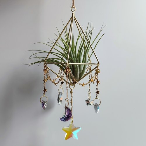 Magical Air Plant Holder