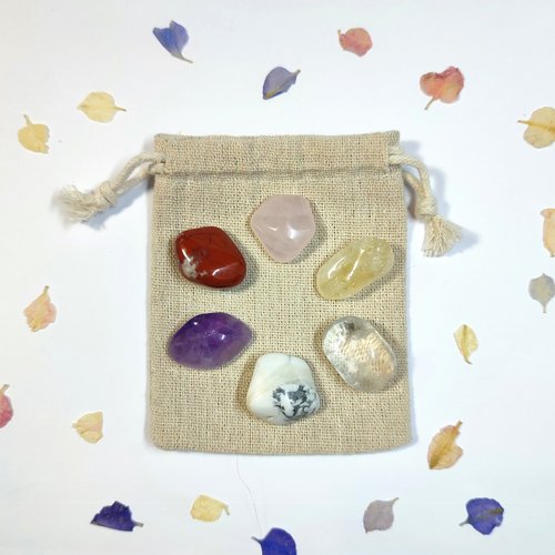 Pets & Animal Healing Crystal Set with Guide