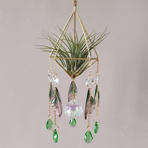 Fairy Air Plant Hanger