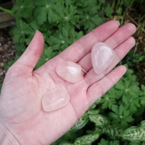 Rose quartz polished tumblestone