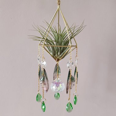 Fairy Air Plant Hanger